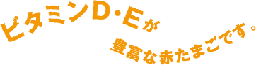 ビタミンD・Eが豊富な赤たまごです。