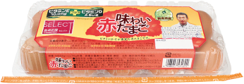 10個入り