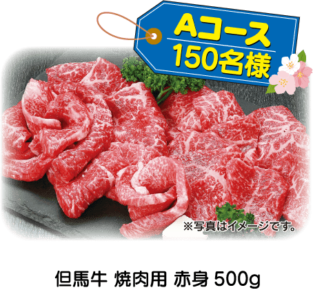 Aコース　但馬牛 焼肉用 赤身500g