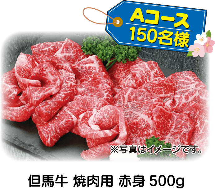 Aコース　但馬牛 焼肉用 赤身500g