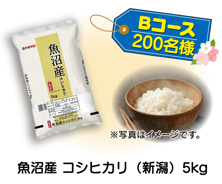 Bコース　魚沼産 コシヒカリ（新潟）5kg