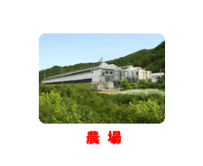 農場