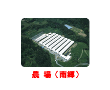 農場