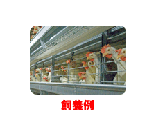 飼養例