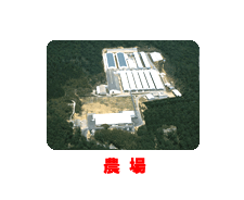 農場