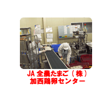 たまごセンター