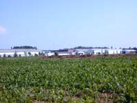 （株）愛鶏園　小川農場