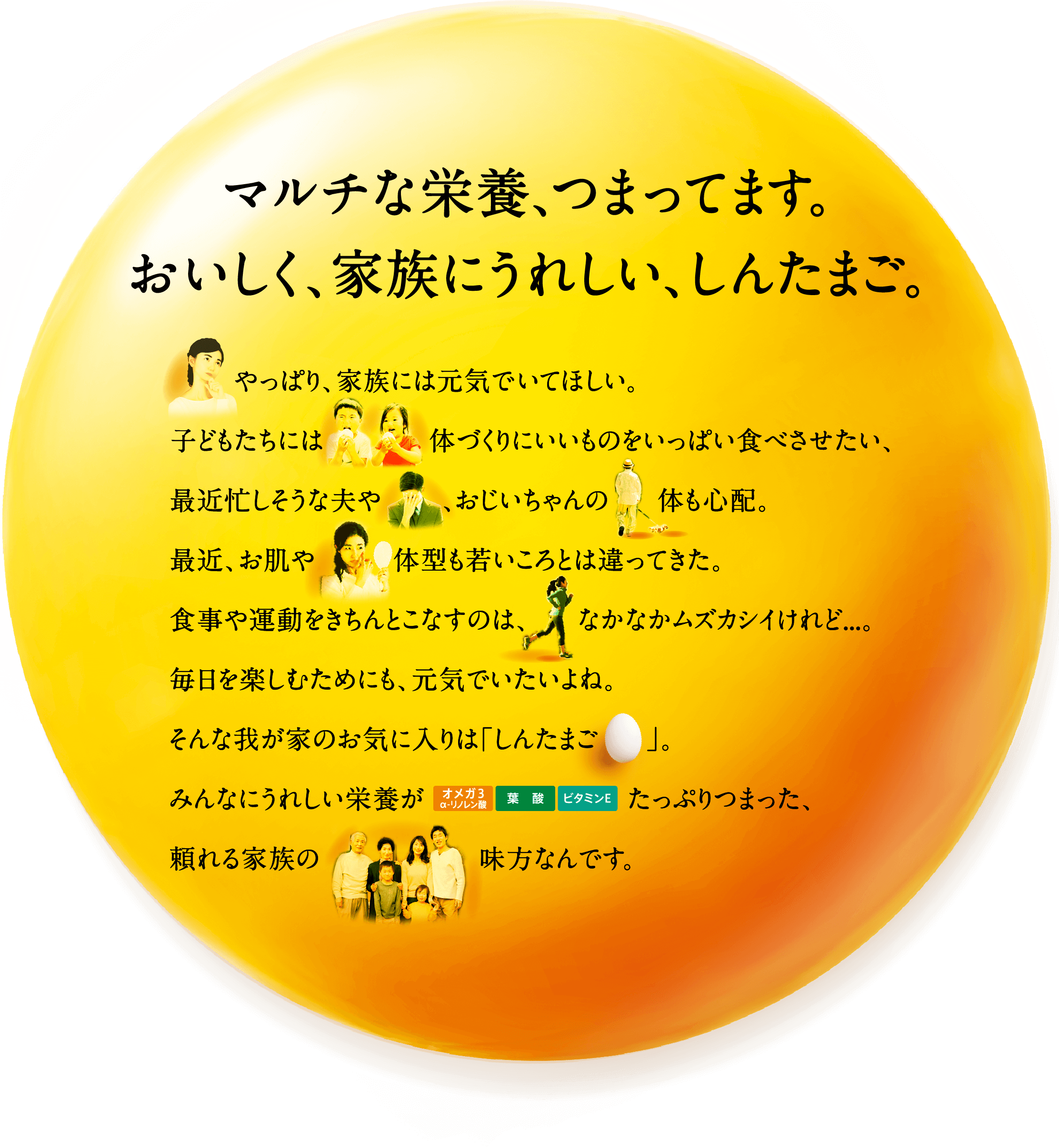 マルチな栄養 つまっています おいしく 家族にうれしい しんたまご マルチな栄養 つまっています おいしく 家族にうれしい しんたまご