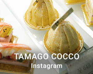 TAMAGO COCCO instagram