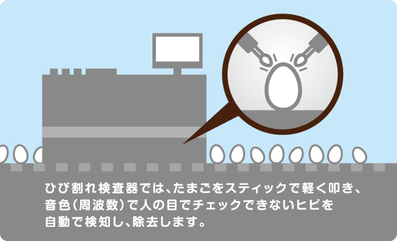 ひび割れ検査器では、たまごをスティックで軽く叩き、音色（周波数）で人の目でチェックできないヒビを自動で検知し、除去します。