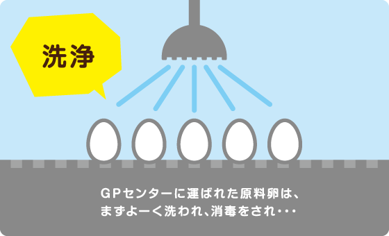 洗浄　GPセンターに運ばれた原料卵は、まずよーく洗われ、消毒をされ・・・