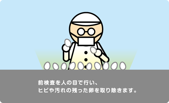 前検査を人の目で行い、ヒビや汚れの残った卵を取り除きます。