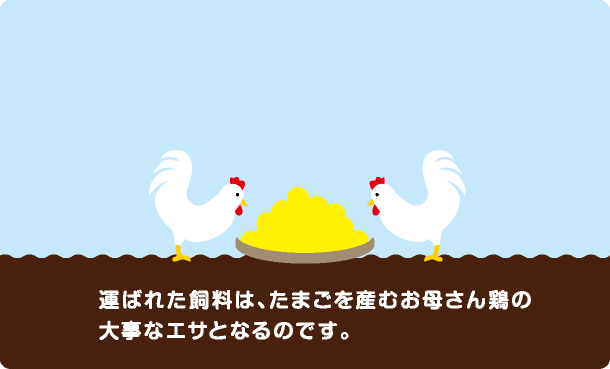 前検査を人の目で行い、ヒビや汚れの残った卵を取り除きます。