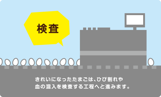 検査　きれいになったたまごは、ひび割れや血の混入を検査する工程へと進みます。