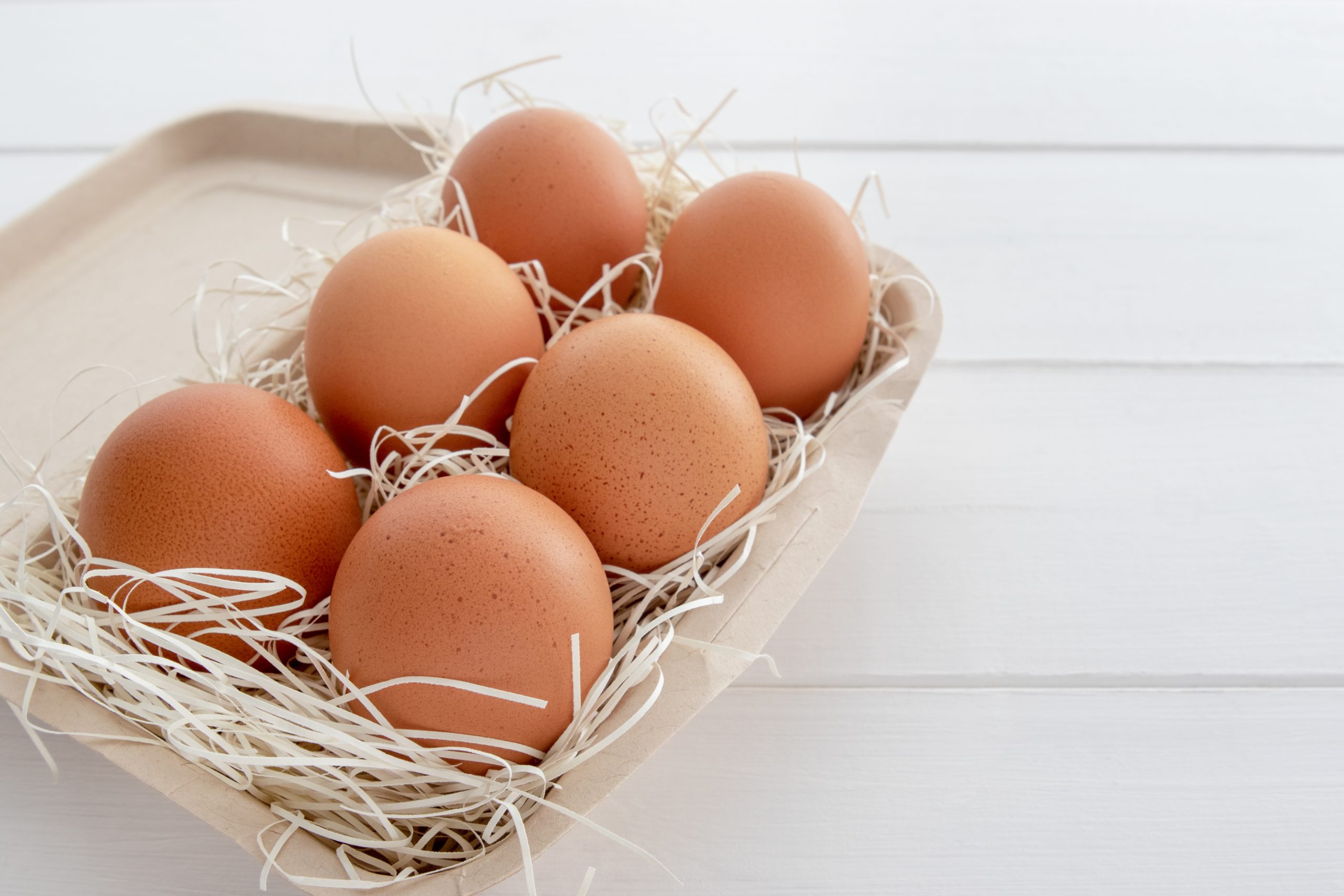 鶏卵さま鶏卵さまが通販できます鶏卵さま