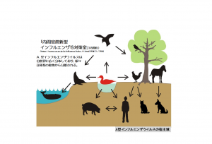 【無断転載禁止】鶏鳴新聞2020年12月5日号 家きん疾病小委、異例の緊急提言「消毒などの徹底対策を」