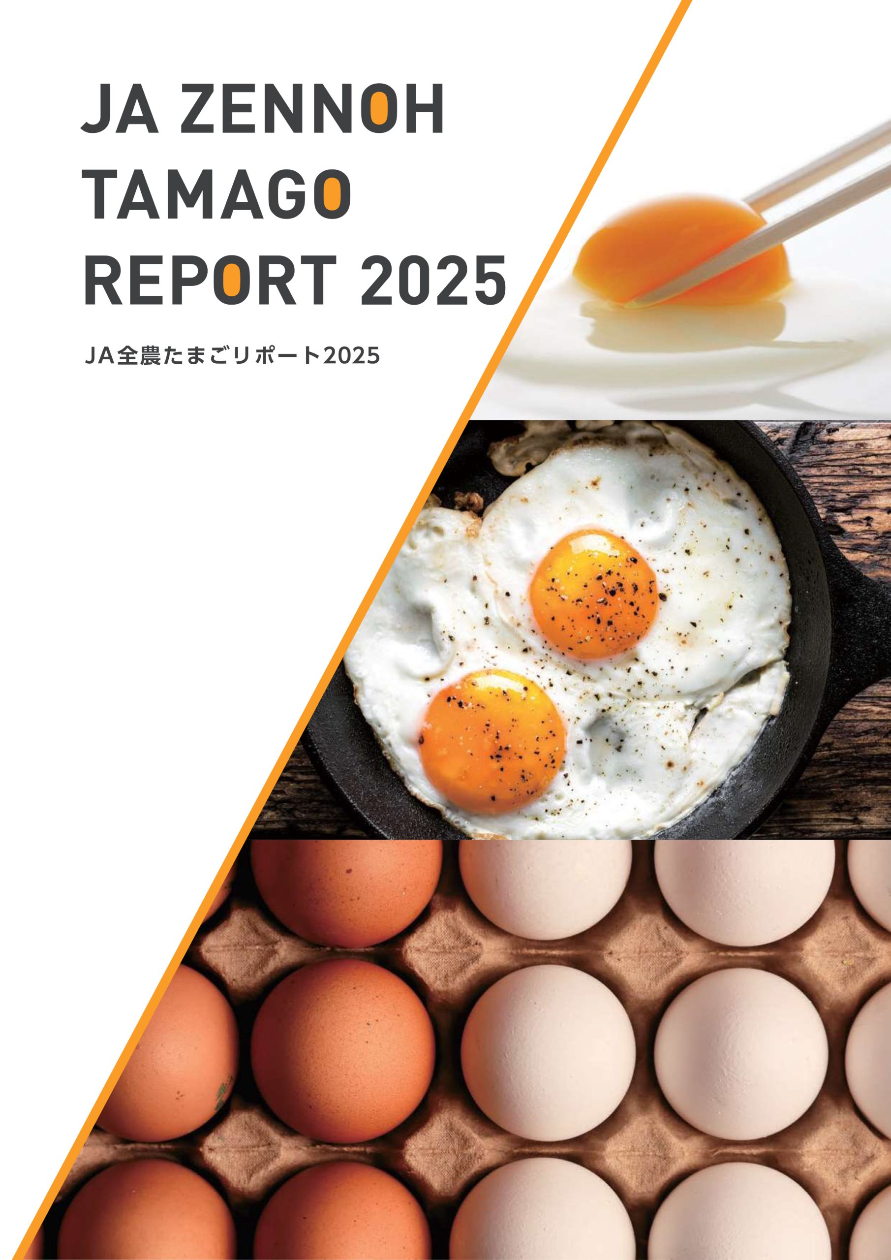 JA全農たまごリポート2025